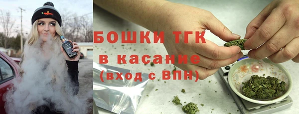 шишки Сосновый Бор
