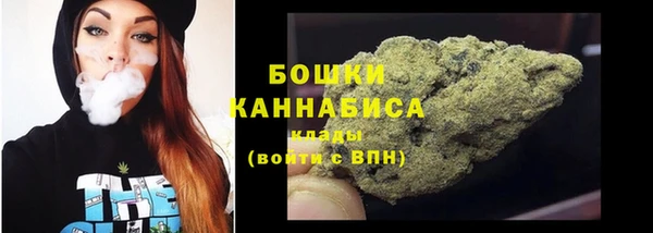 гидра Белоозёрский