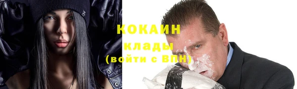 трава Белокуриха