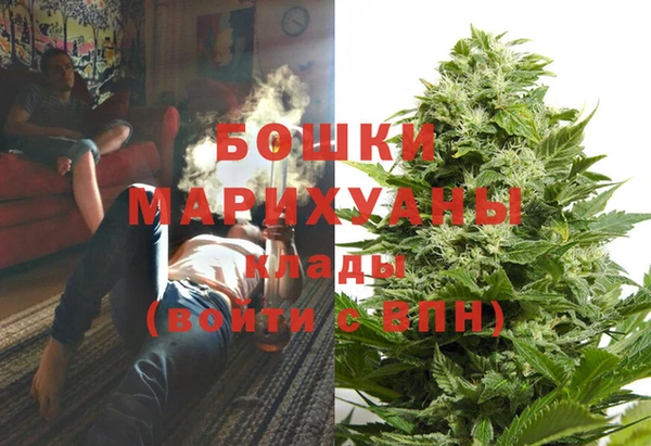 трава Белокуриха