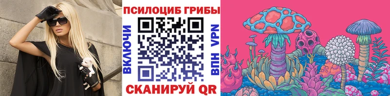 купить наркотики сайты  Малоярославец  Галлюциногенные грибы Magic Shrooms 