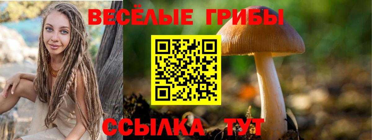 Галлюциногенные грибы GOLDEN TEACHER  Вход с VPN  Малоярославец 